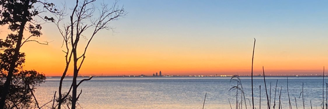 Conner McGavin banner