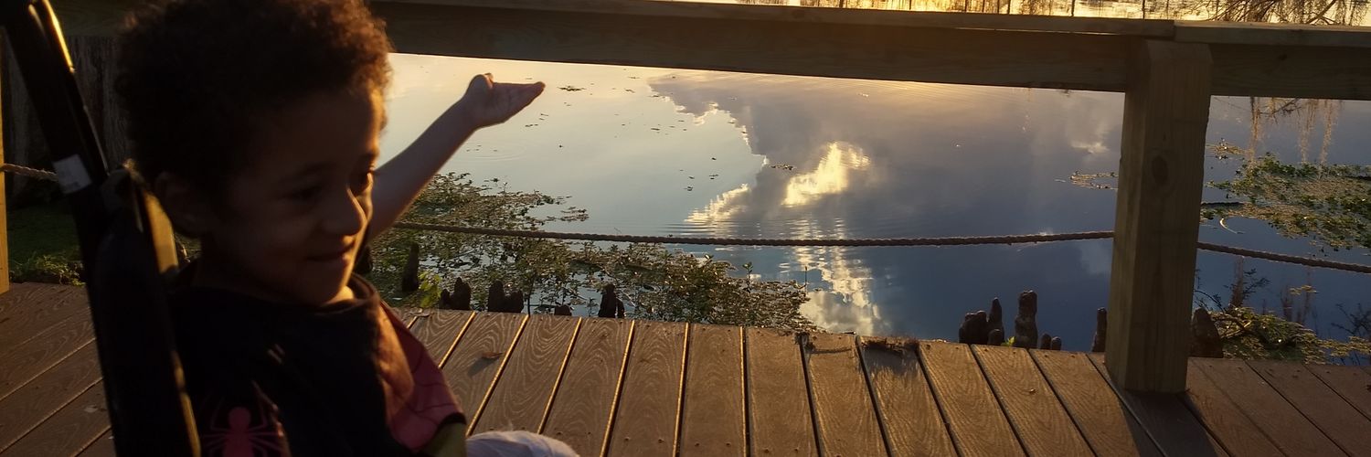 LillyRoch's profile banner image