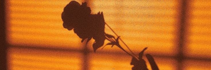 _BloodyCrow's profile banner image