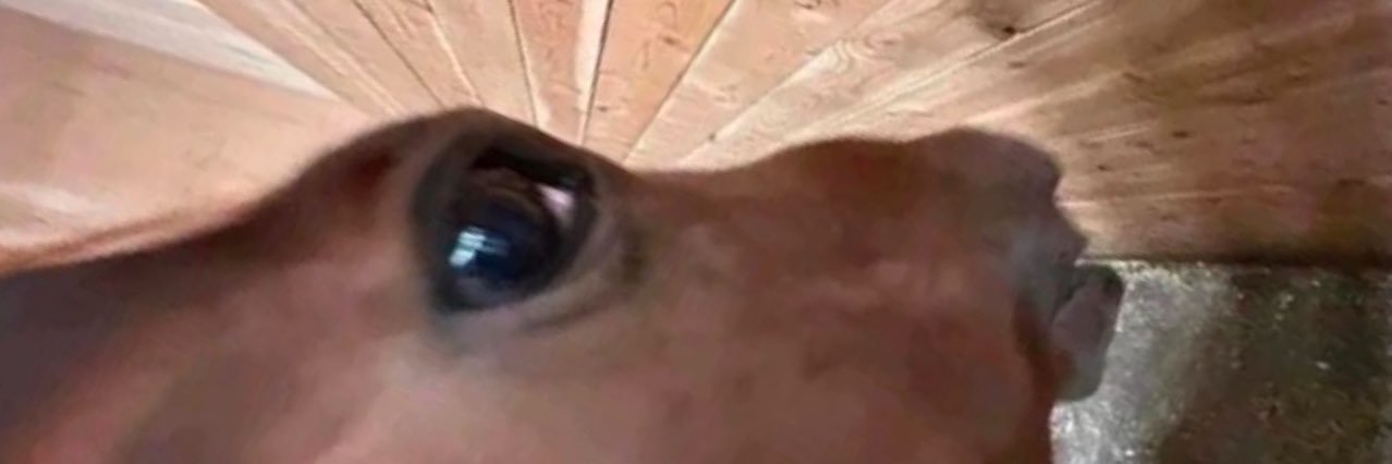 LewisCityboy's profile banner image