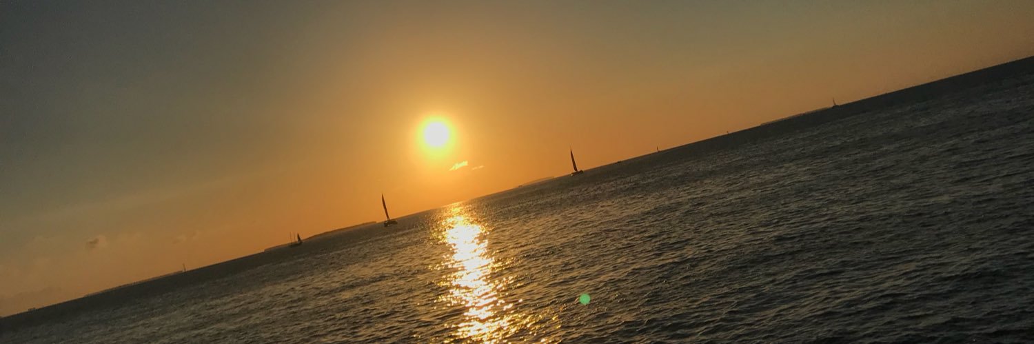 j_lemur3's profile banner image
