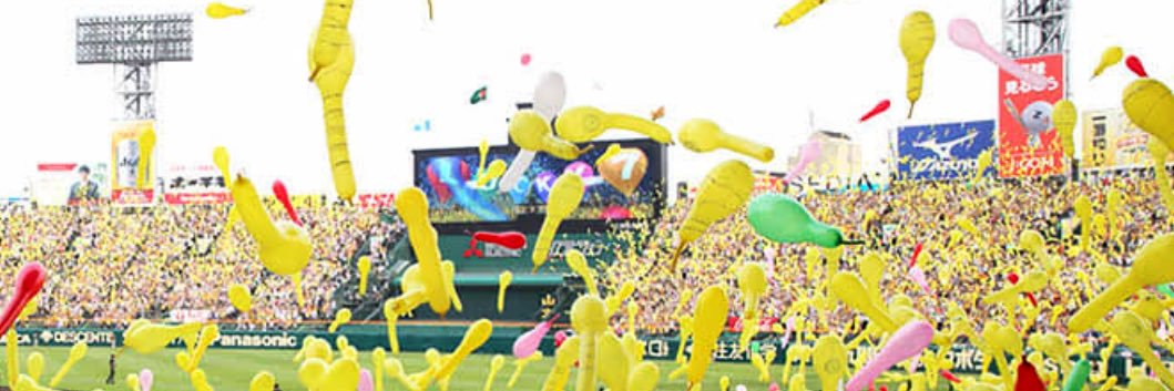 maccha0510's profile banner image