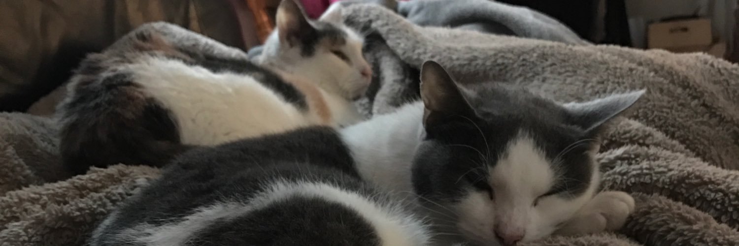 LibPears's profile banner image
