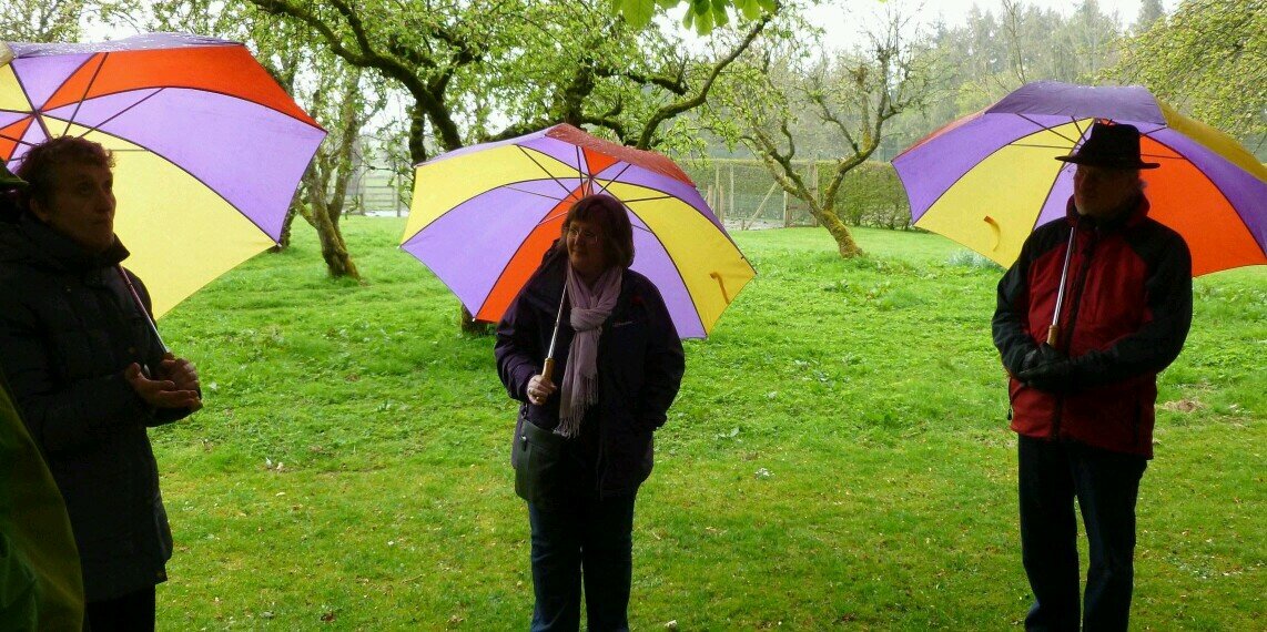 Muriel Pearson banner