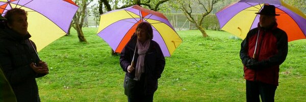 murielpearson60 Profile Banner