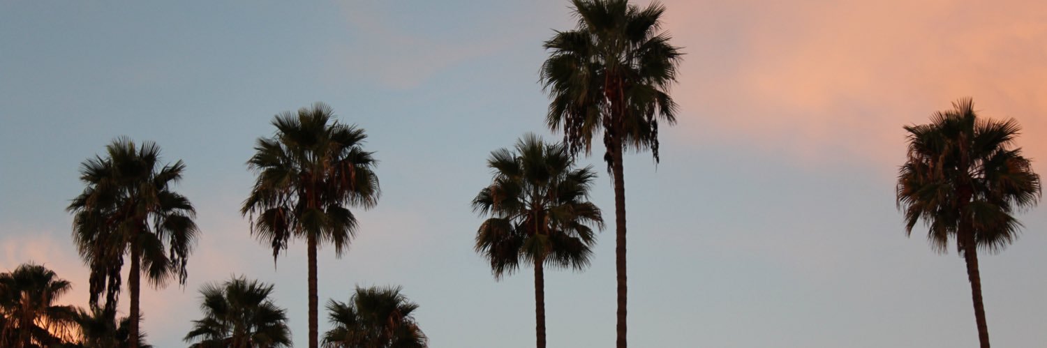 ESnelgrove's profile banner image