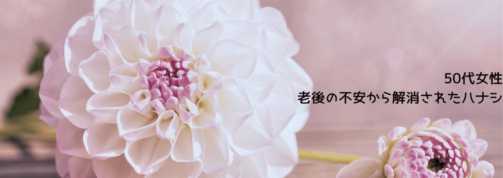 maxwellt1328's profile banner image