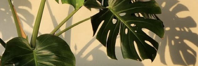 2JeXiEL's profile banner image