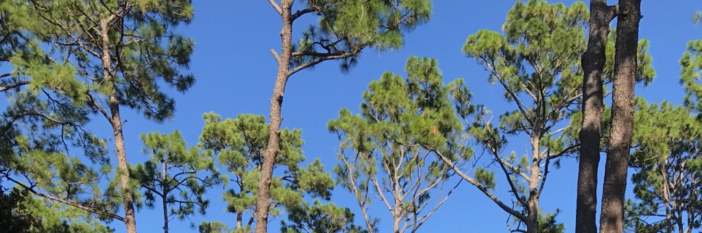 matthewILM's profile banner image