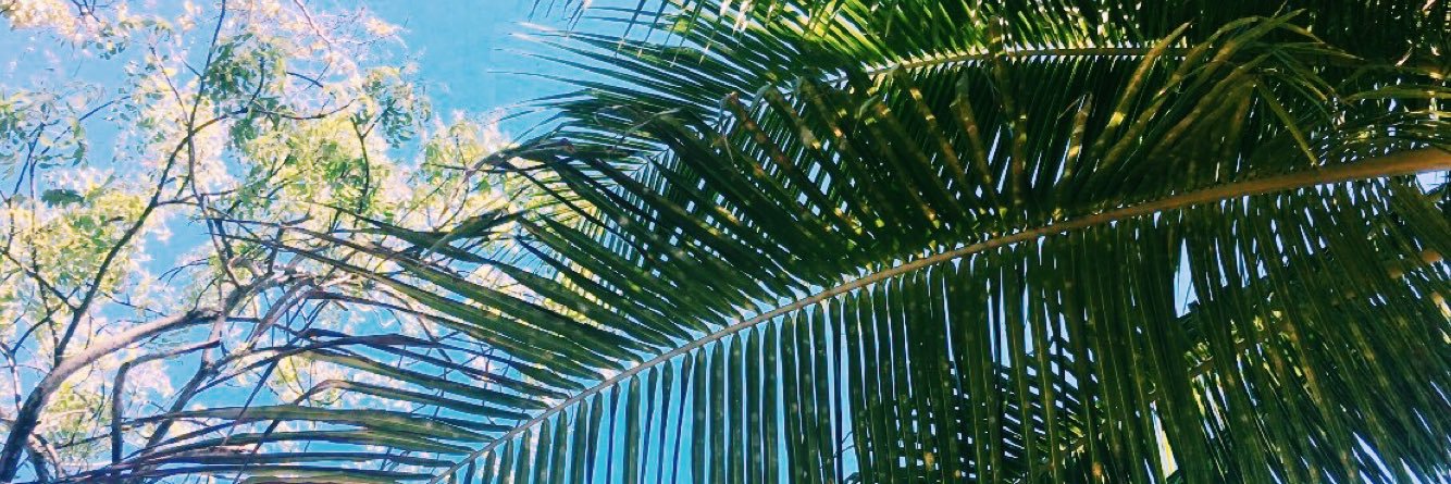 ali_bridge15's profile banner image