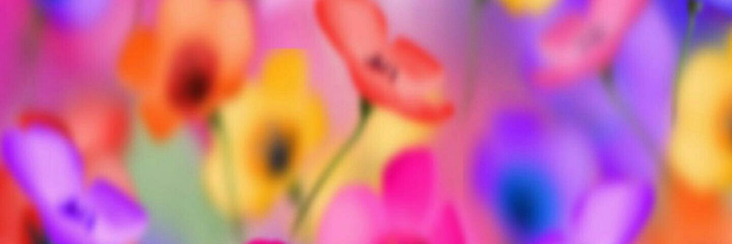 edithsilva54's profile banner image