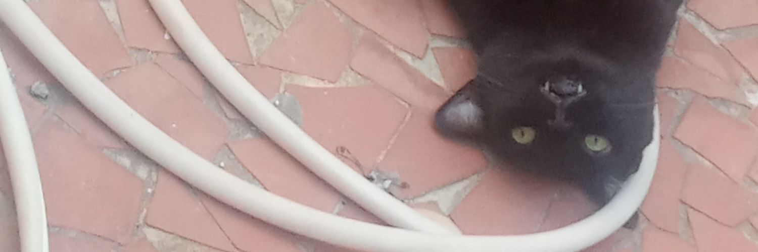 DirceMax's profile banner image