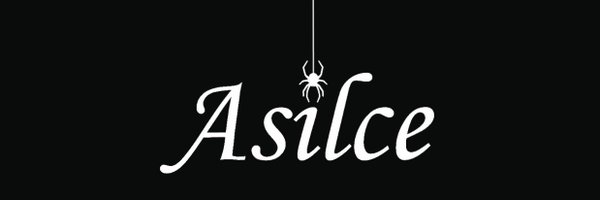 asilce13 Profile Banner