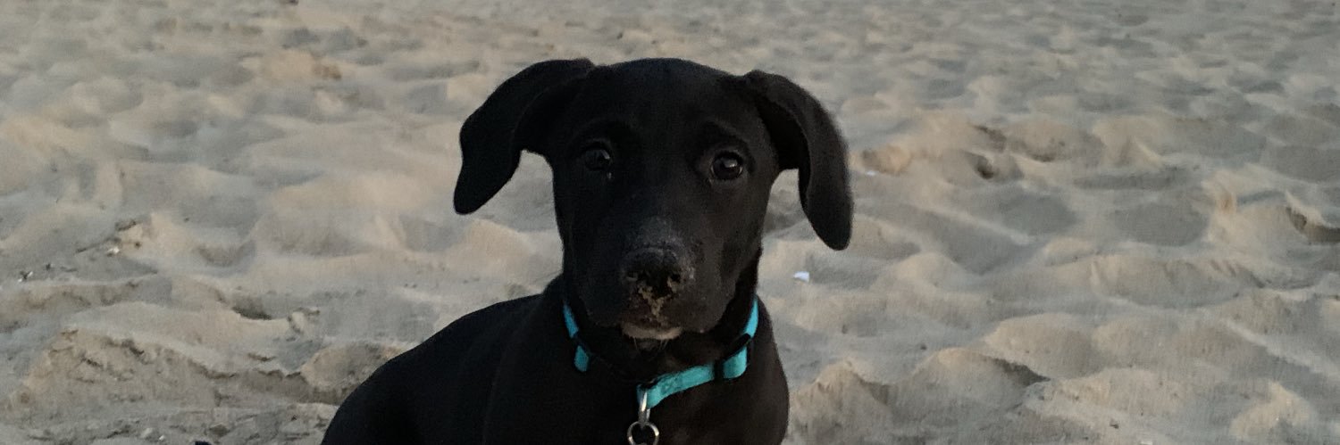 Jamie Satterfield banner