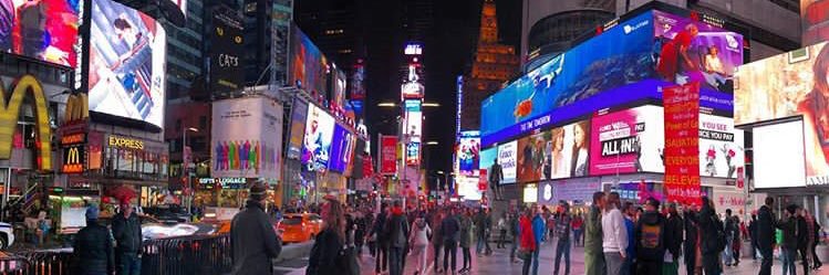 Sofi Morales🦒 banner