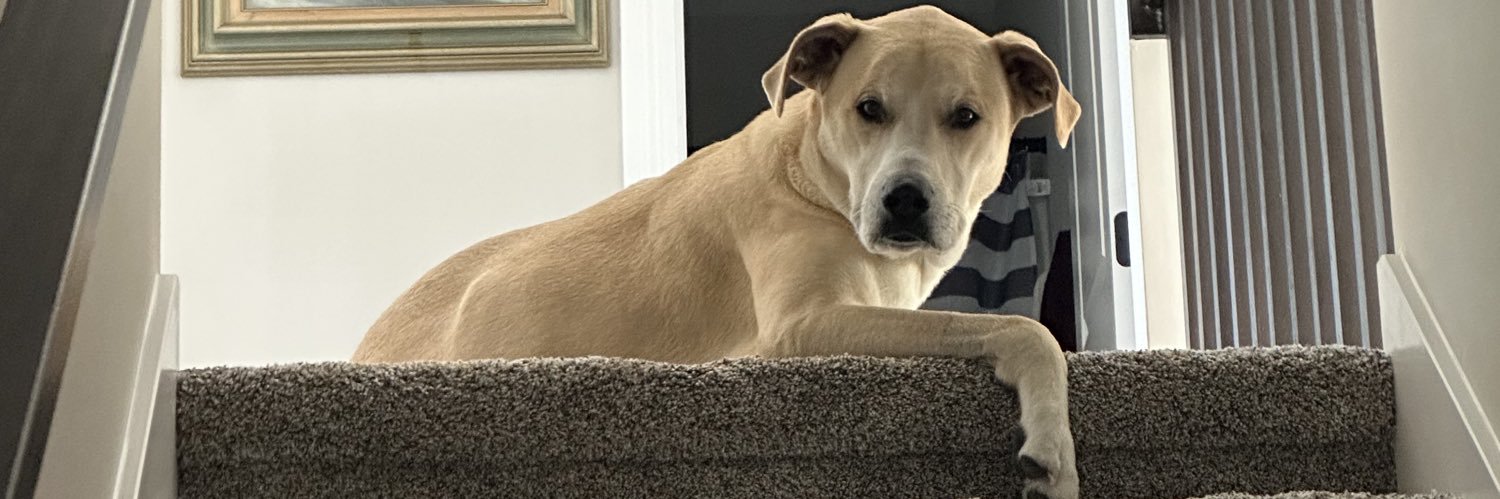 Zac🌴🍻🍹 banner