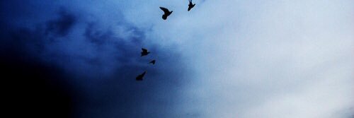 DennieWN's profile banner image