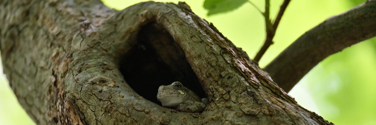 Aidan O’Brien banner