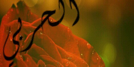 aliwarad66's profile banner image