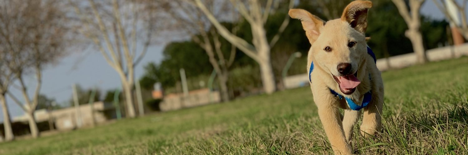 Guidoo_98's profile banner image