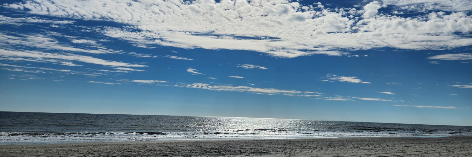 StephCassavaugh's profile banner image