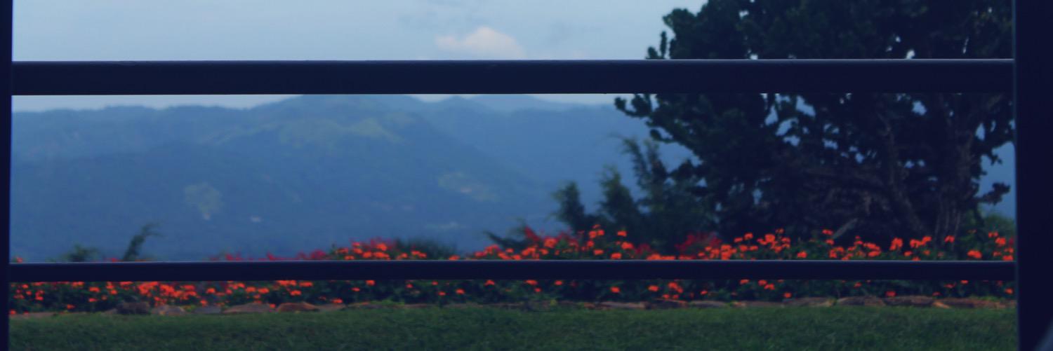 Beero_6's profile banner image