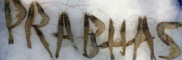 rajesh_gadiraju Profile Banner