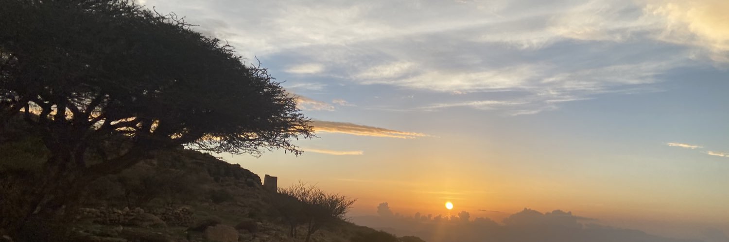 alialsanani's profile banner image