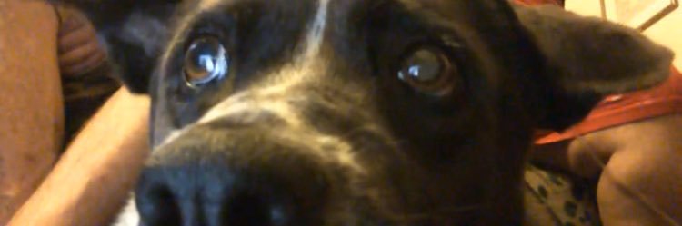 AnthonySweeney_'s profile banner image