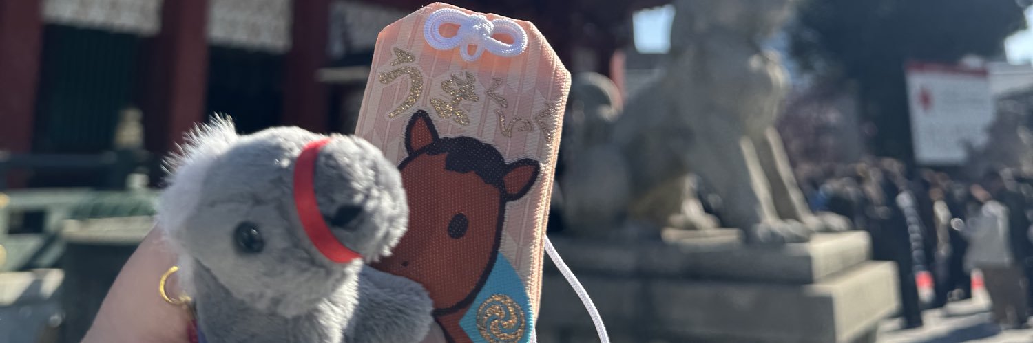 DolphinsLovely's profile banner image