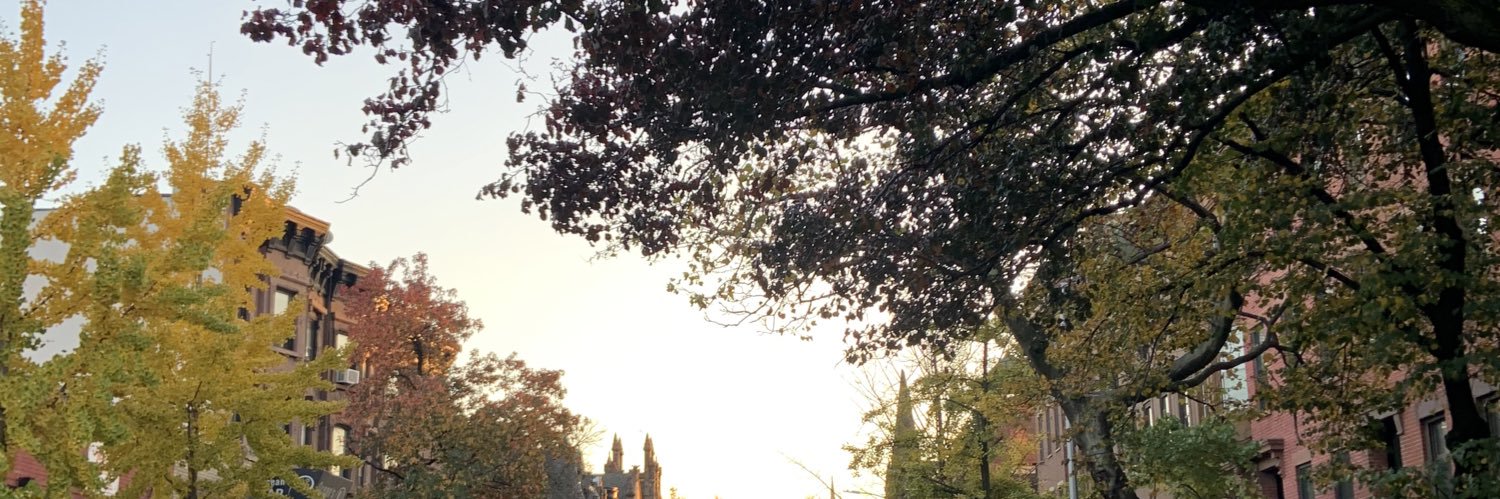 emilyvibes's profile banner image