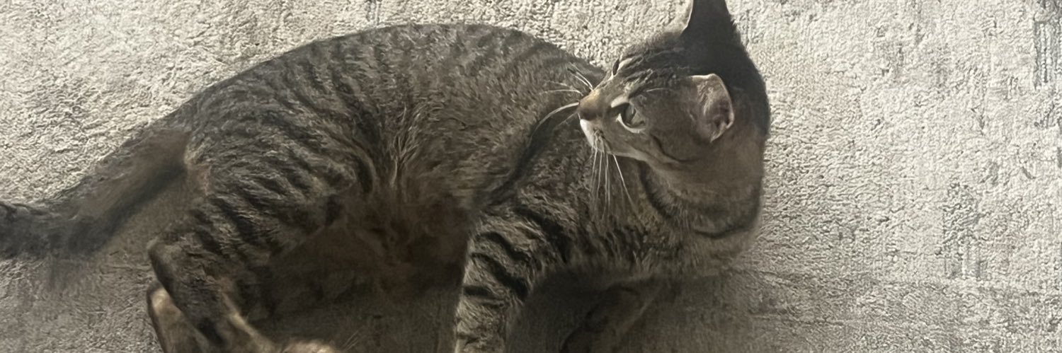 SupportAnimals's profile banner image