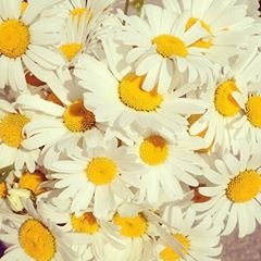 Angelinarfc's profile banner image