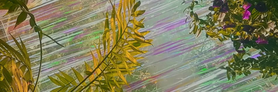 christrees's profile banner image