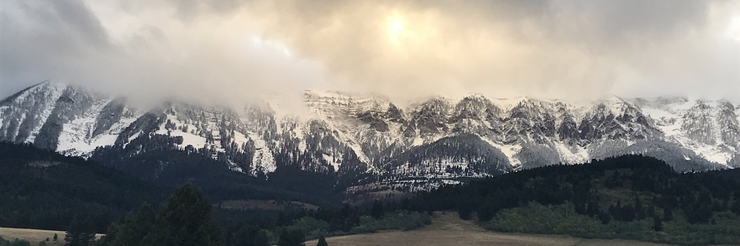 sklingenberg5's profile banner image