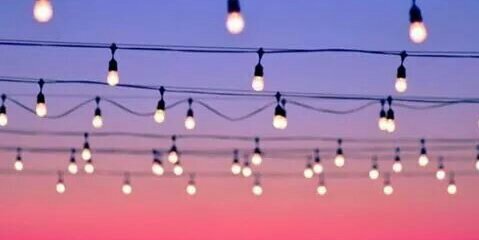 Sofia Robbio Saravia banner