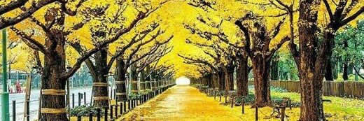 ashvin22932's profile banner image