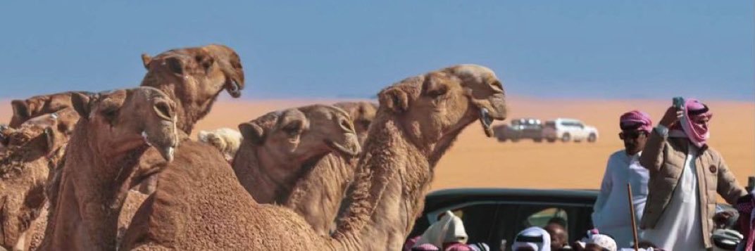 عبدالله بن عون banner