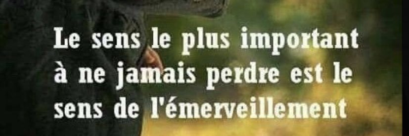 moriquier's profile banner image