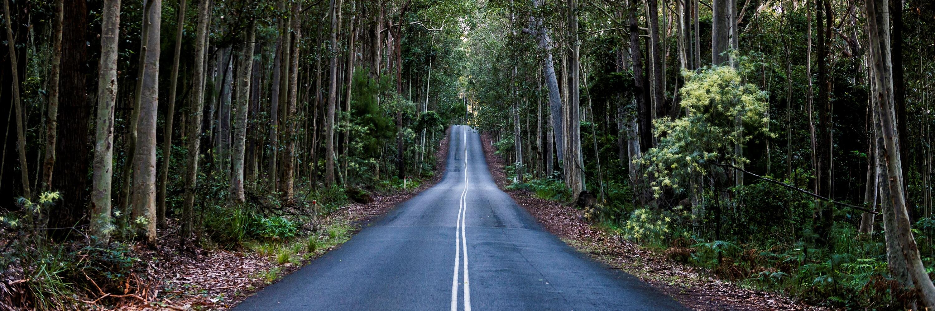 TimberTownsVic's profile banner image