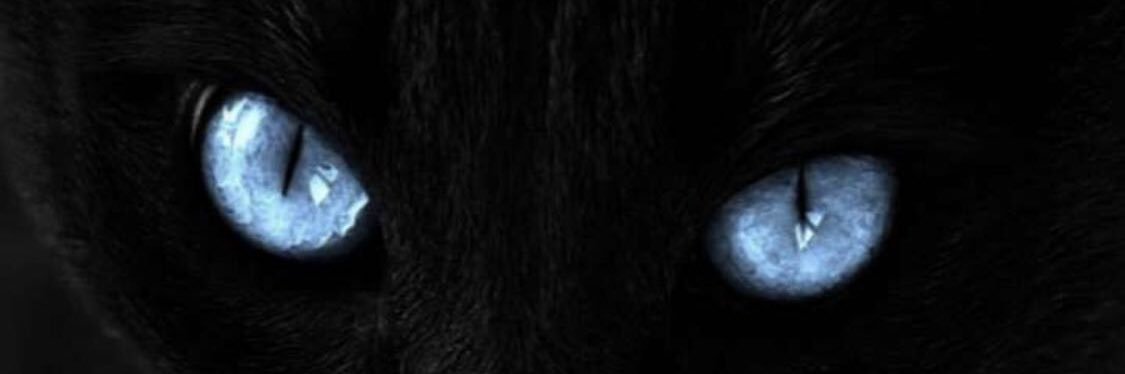 fasoolxx's profile banner image