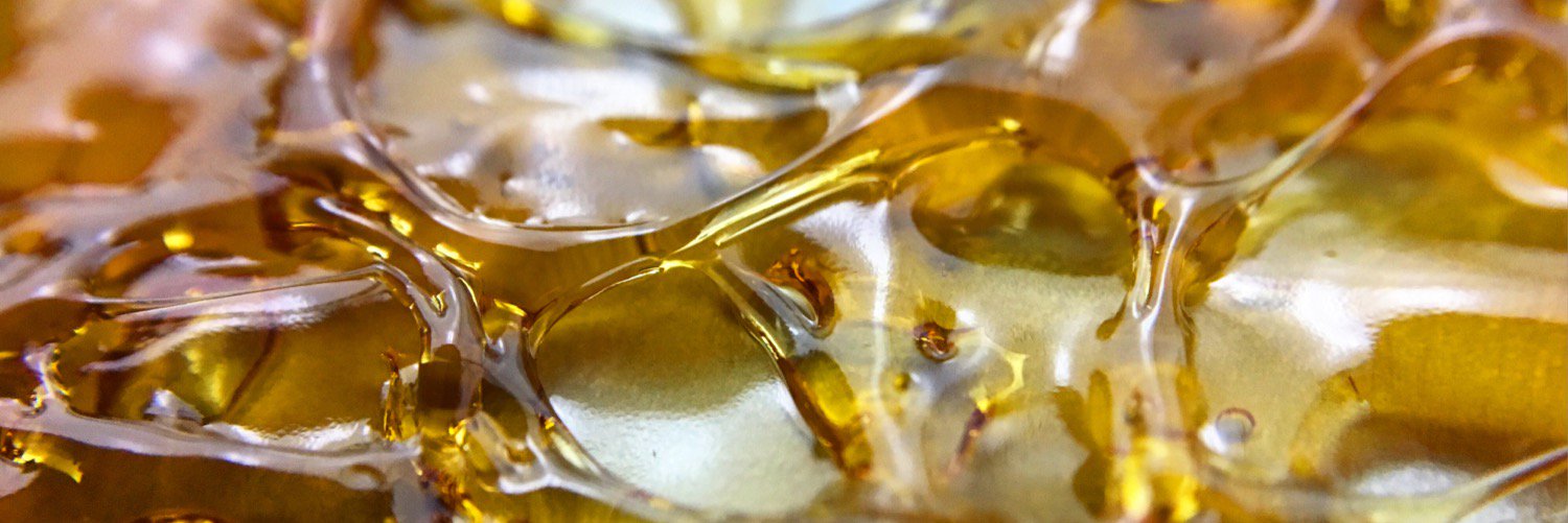 Phyto Extractions banner