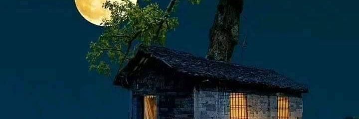 __sqi's profile banner image