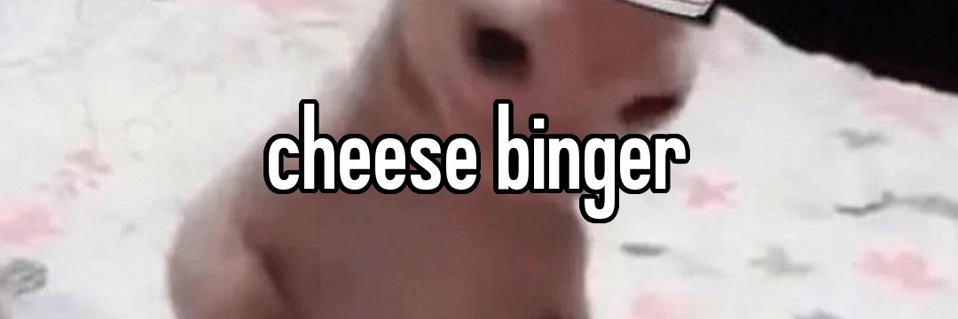 BreadBitch20's profile banner image
