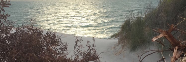CamSutcliffe33's profile banner image