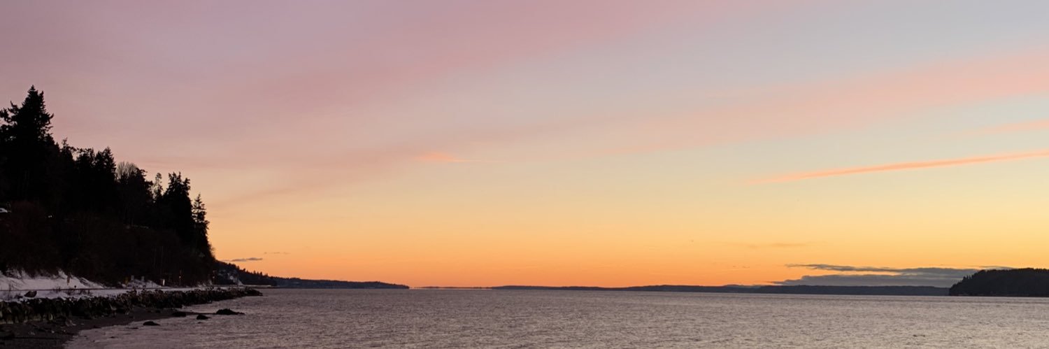 Melanie Rizzotti banner