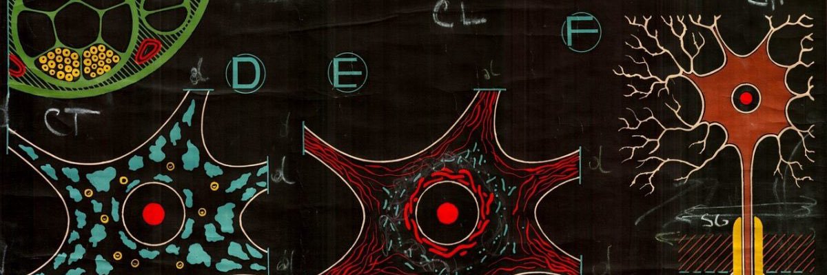 humbug's banner