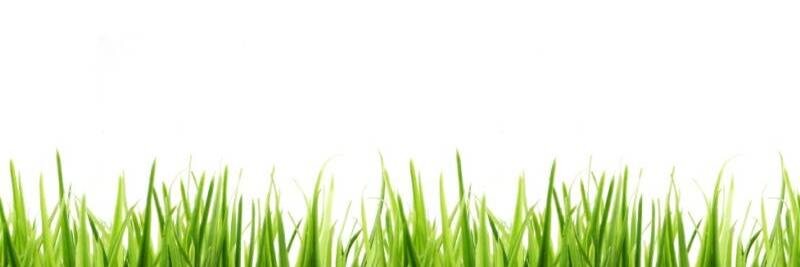 SimonBurchett's profile banner image