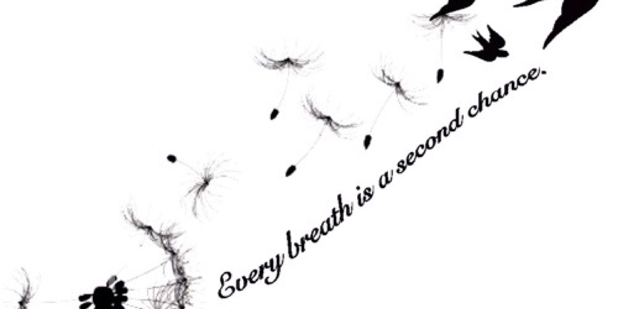 stilson_ashley's profile banner image