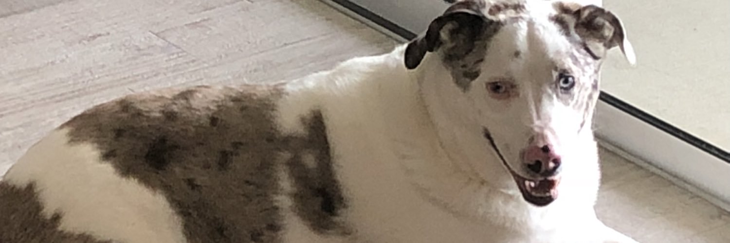 PGADaleW's profile banner image